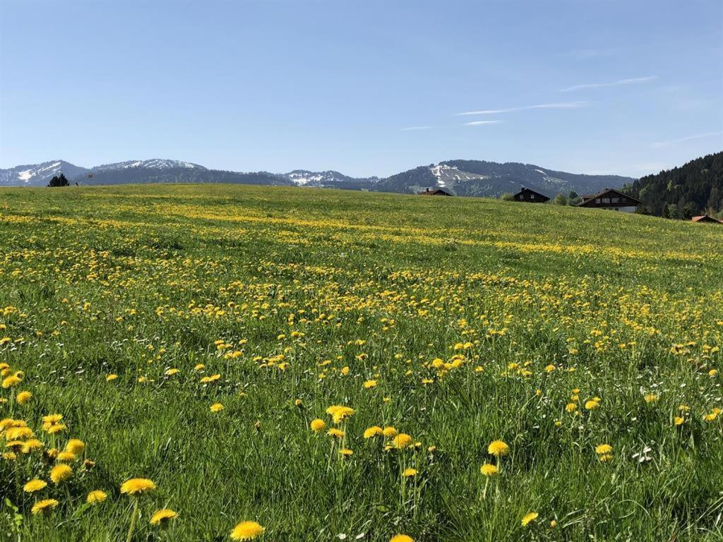 Ferienwohnungen Britta Heim Oberstaufen Luaran gambar